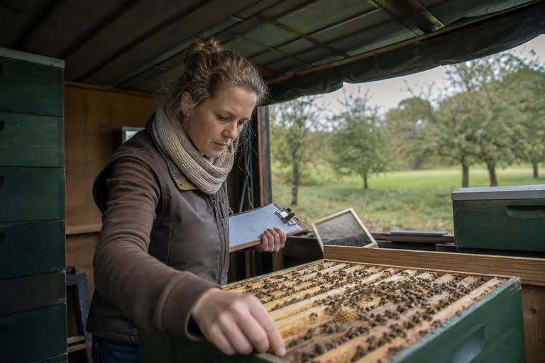 Imkerin prüft an einem Bienenstock eine Liste auf einem Klemmbrett