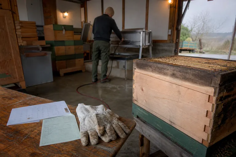 Kalender und Gesundheitsbescheinigung liegen neben Imkerhandschuhen auf einem Bienenstand